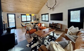 Smart TV, fireplace, books, stereo