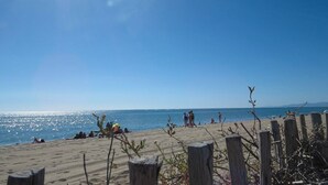 En sandstrand med träpålar, klarblå himmel och stilla hav.