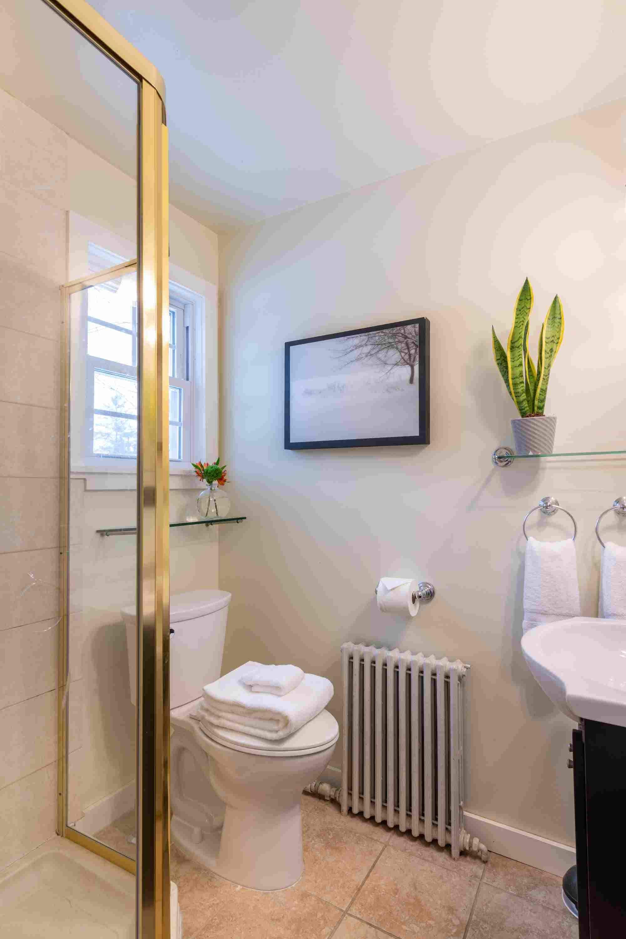 A modern bathroom with a glass shower enclosure, a toilet, a radiator, a sink, and a potted plant.
