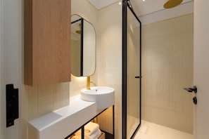 Shower, hair dryer, towels