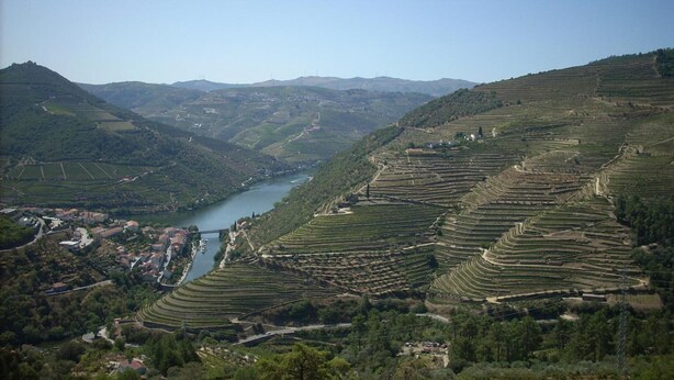 Terraced vineyards, a river, and a small settlement with buildings and a bridge.