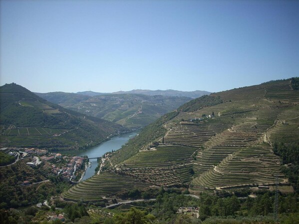 Terraced vineyards, a river, and a small settlement with buildings and a bridge. - Casa da Jesus with Mountain View, Wi-Fi, and Air Conditioning (Provesende)