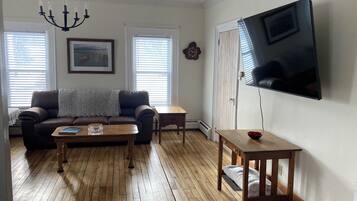 Smart TV, fireplace, books