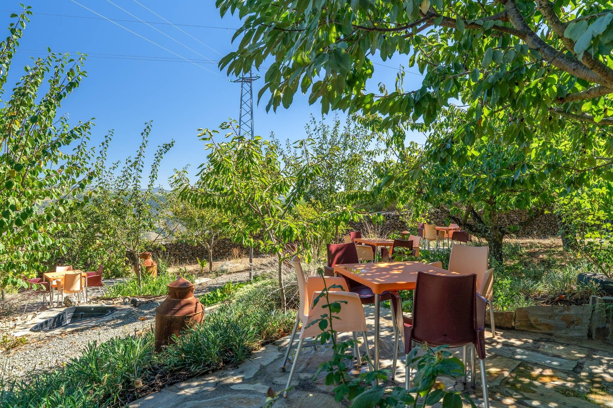 Un espace de restauration en plein air, avec des tables et des chaises, entouré de verdure et d’un mur en pierre.