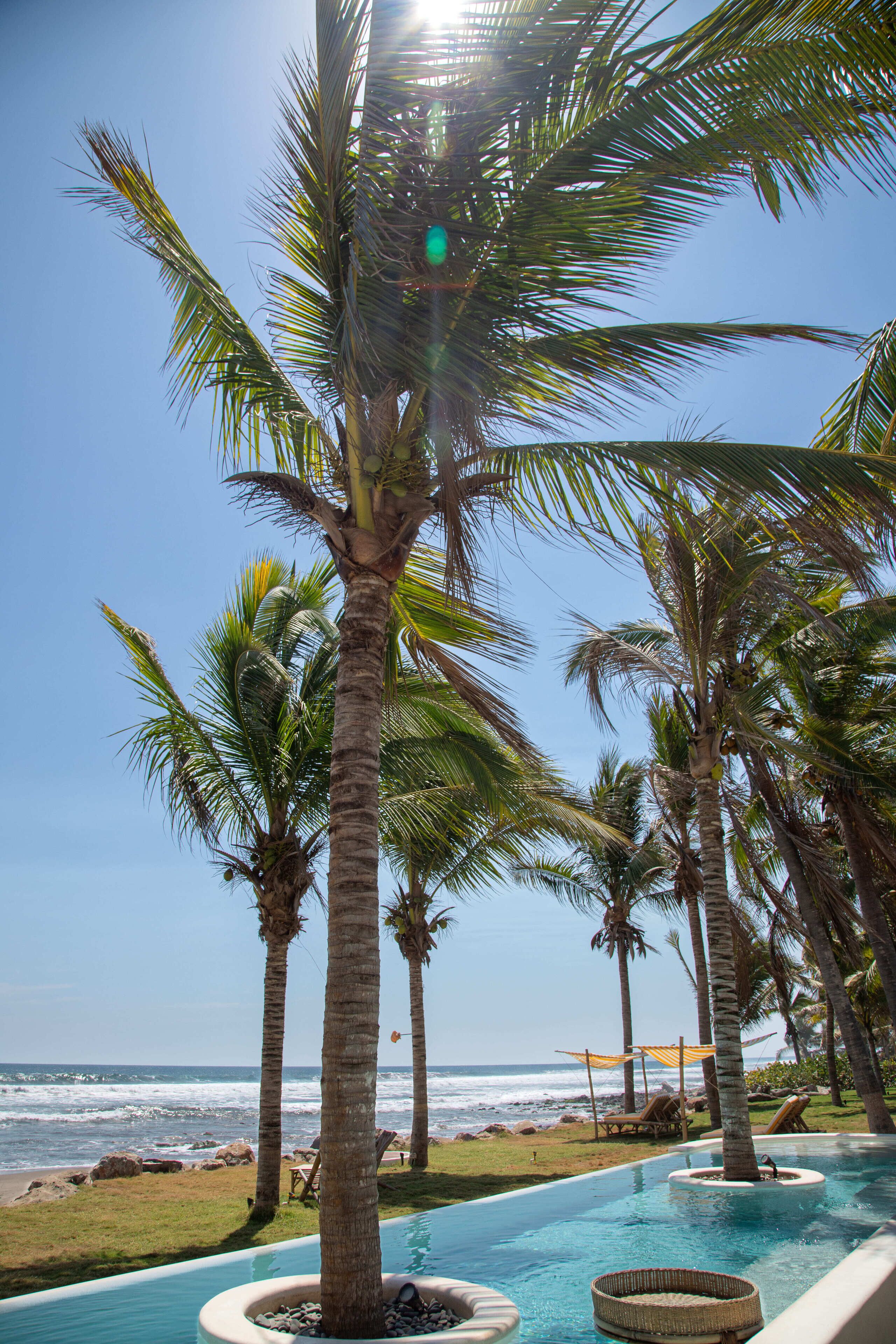 A pool area with palm trees, a view of the ocean, and lounge chairs.