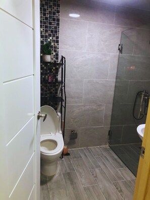 Shower, towels, soap, toilet paper