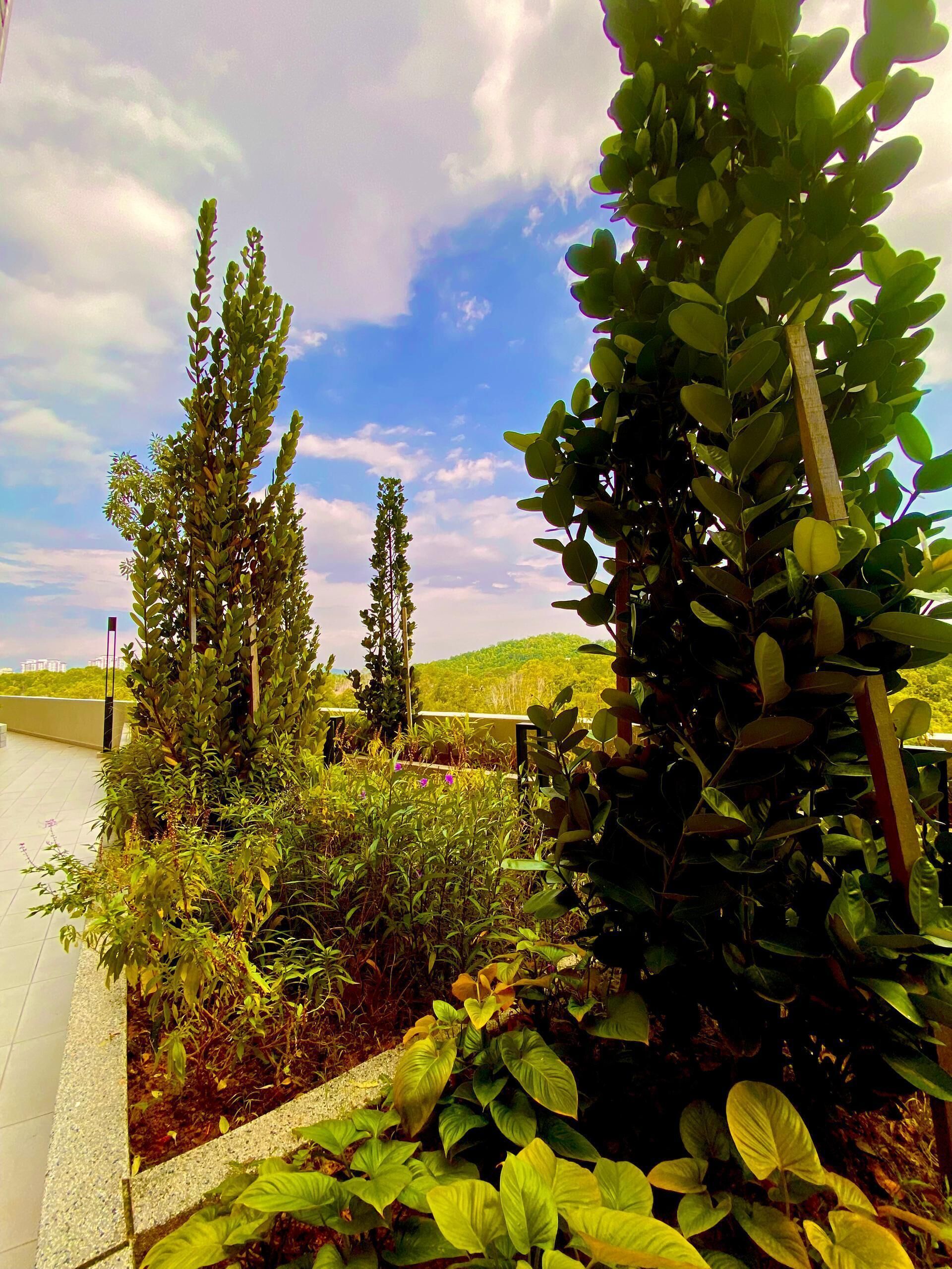 Áreas de la propiedad