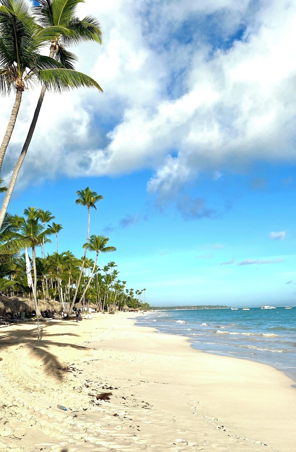 Solsenger og strandhåndklær