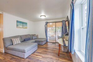 Smart TV, fireplace, video games, DVD player