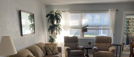 TV connectée, cheminée, livres