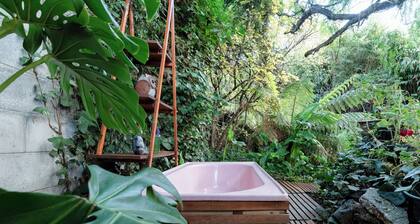 Cute and Cosy Garden Studio