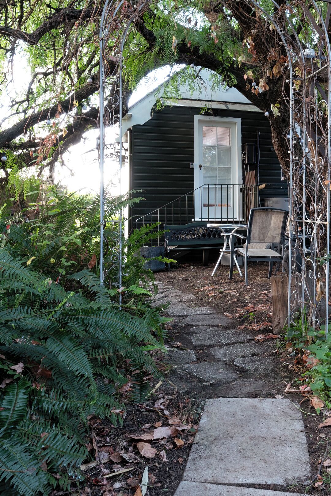 A small, dark wooden cabin with a white door, surrounded by dense foliage and a stone pathway leading to a bench and a chair.