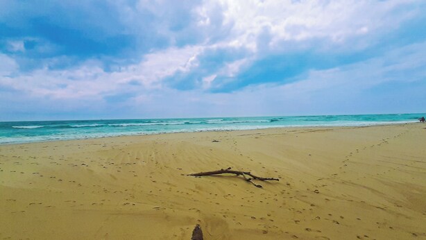 Een zanderig strand met voetafdrukken en een omgevallen boomstam.