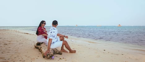 Playa