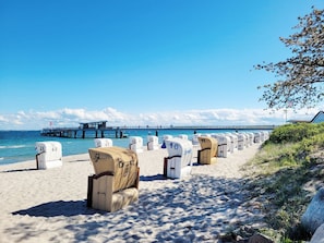 A beach with rows of numbered beach chairs and a pier in the background.