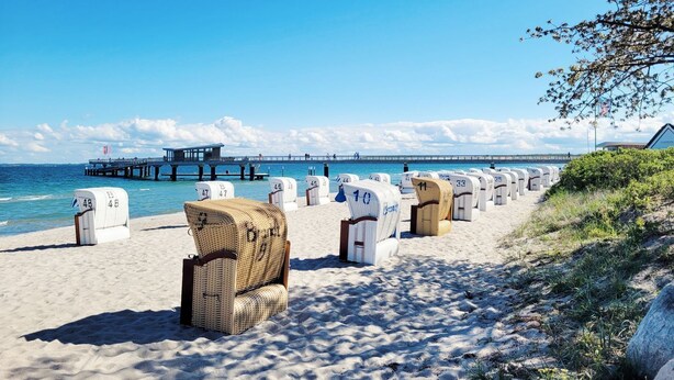 A beach with rows of numbered beach chairs and a pier in the background.