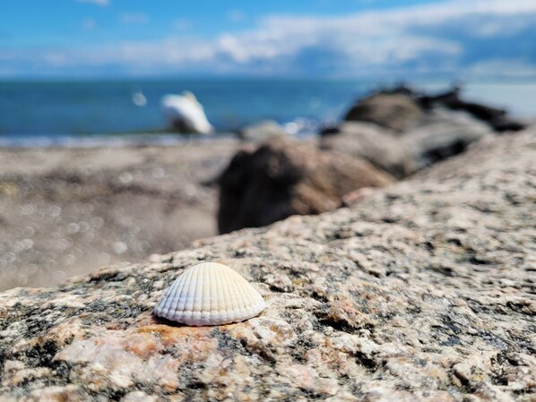 Playa