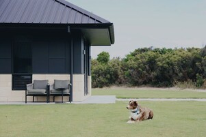 Pet-friendly