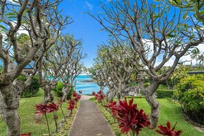 A pathway leading to a beach with palm trees and red foliage.