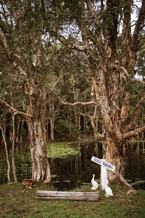 Terrain de l’hébergement 