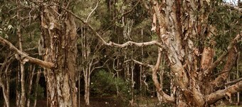 Farmhouse 1 at Coffs by Tiny Away