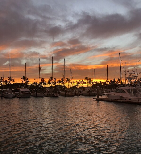 Marina