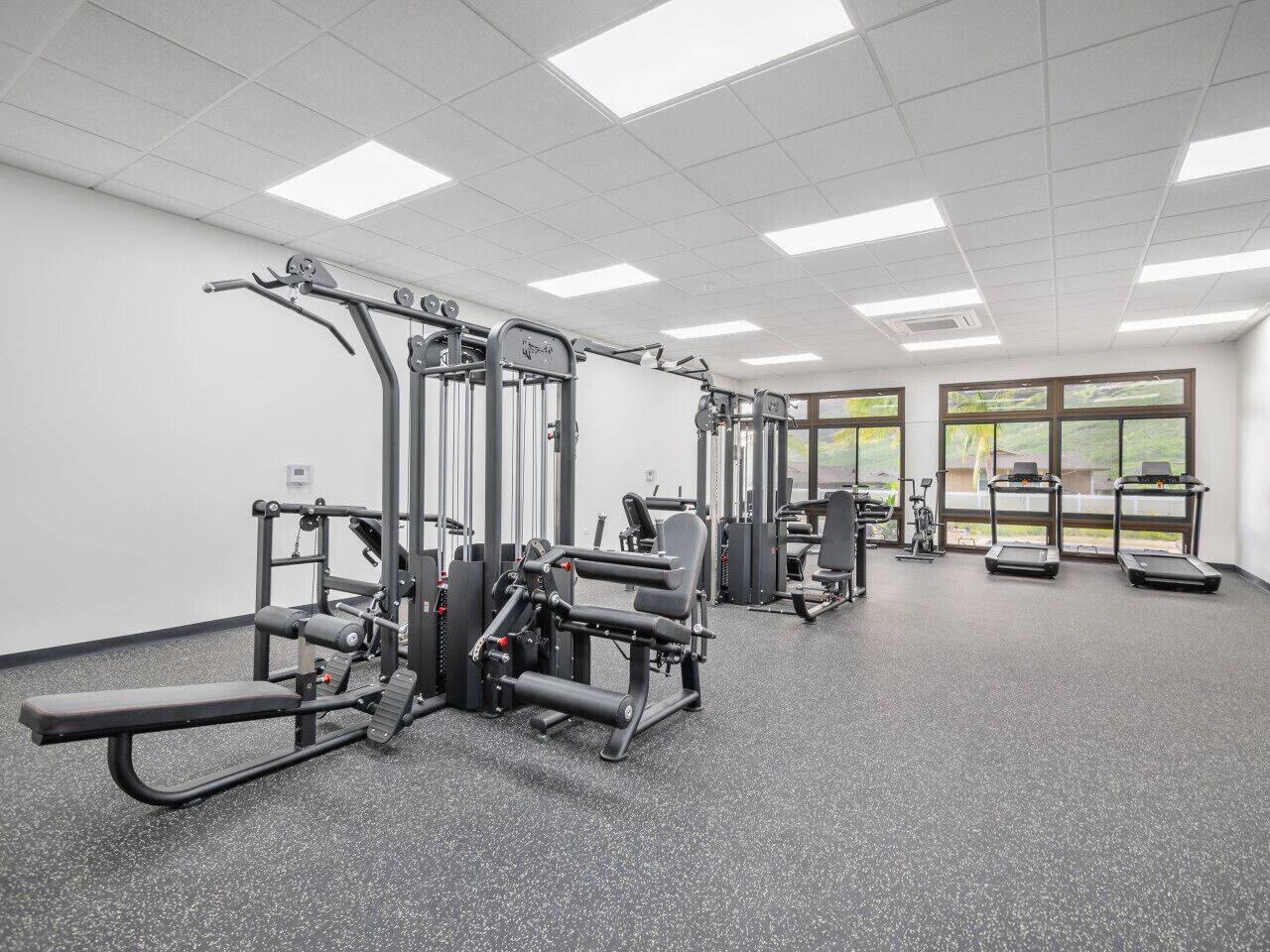 A gym with various exercise machines, treadmills, and a large window providing natural light.