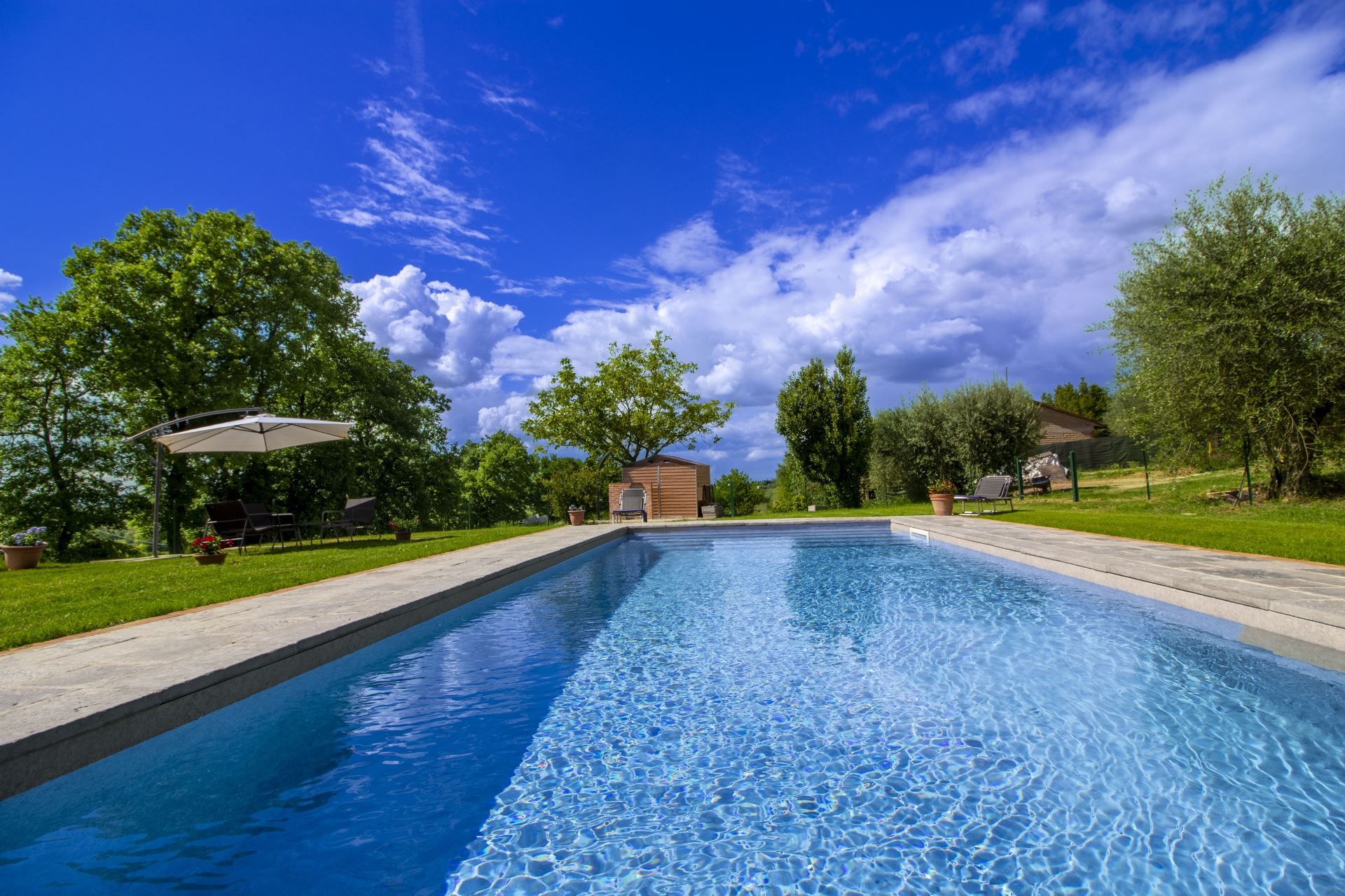 A rectangular swimming pool with clear blue water, surrounded by a grassy area with trees and a small building in the background.