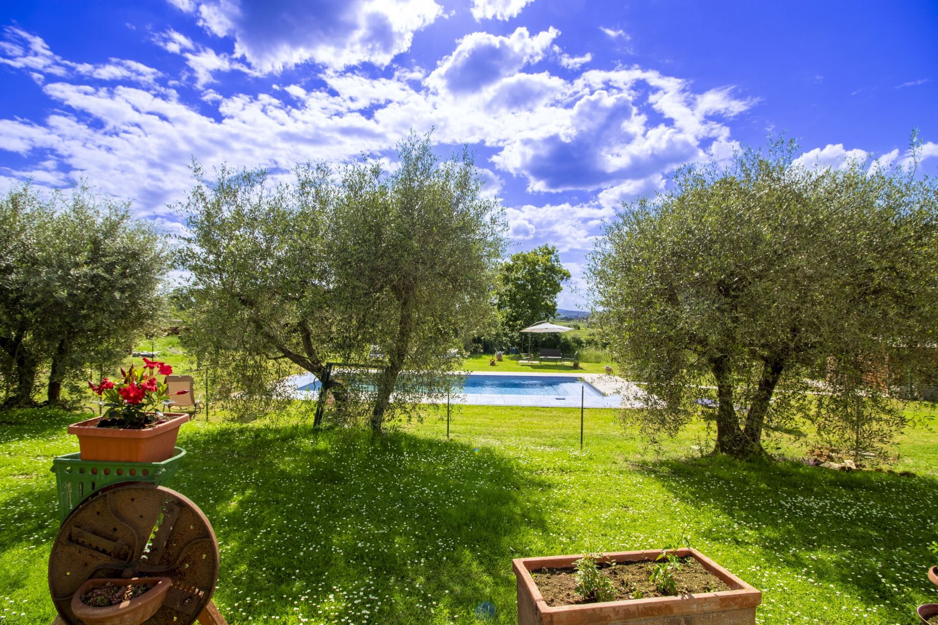 Ein Garten mit Swimmingpool, Olivenbäumen und einer Bank.