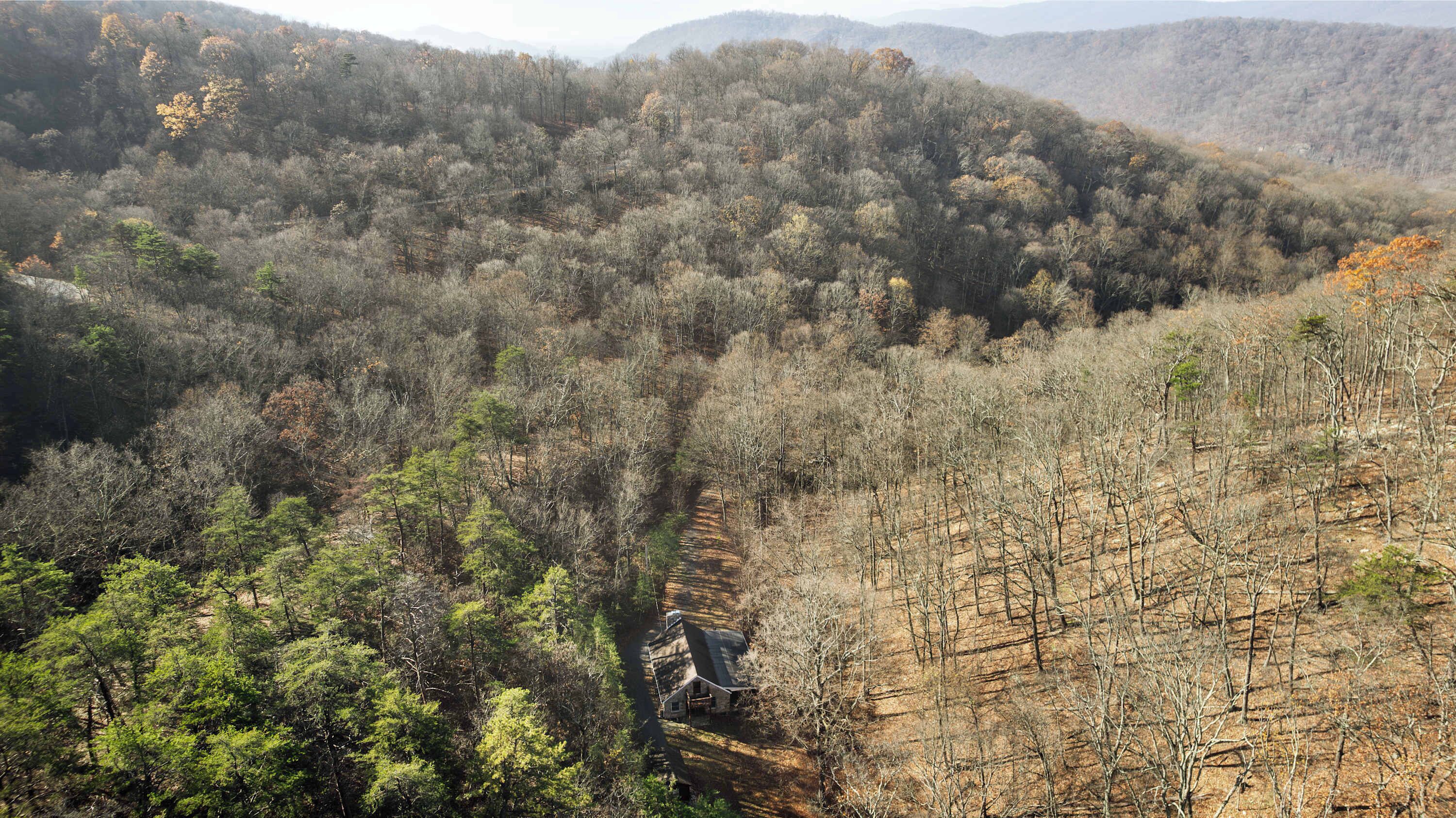 A forested mountain landscape with a narrow path leading to a small building.