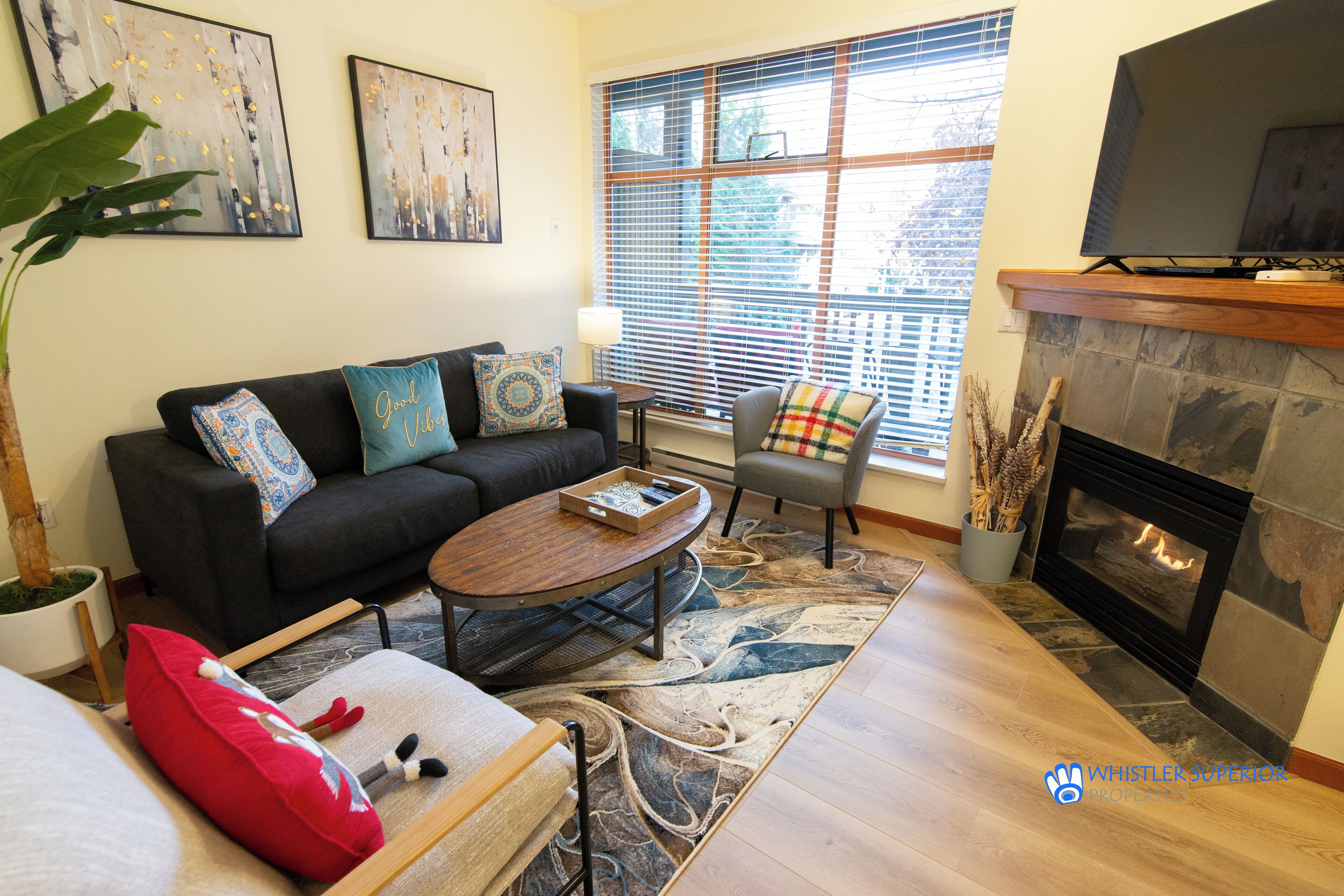 智能电视、壁炉