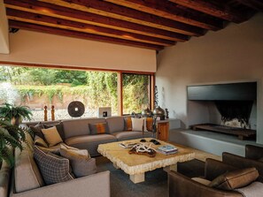 TV, fireplace
