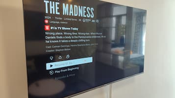 Television