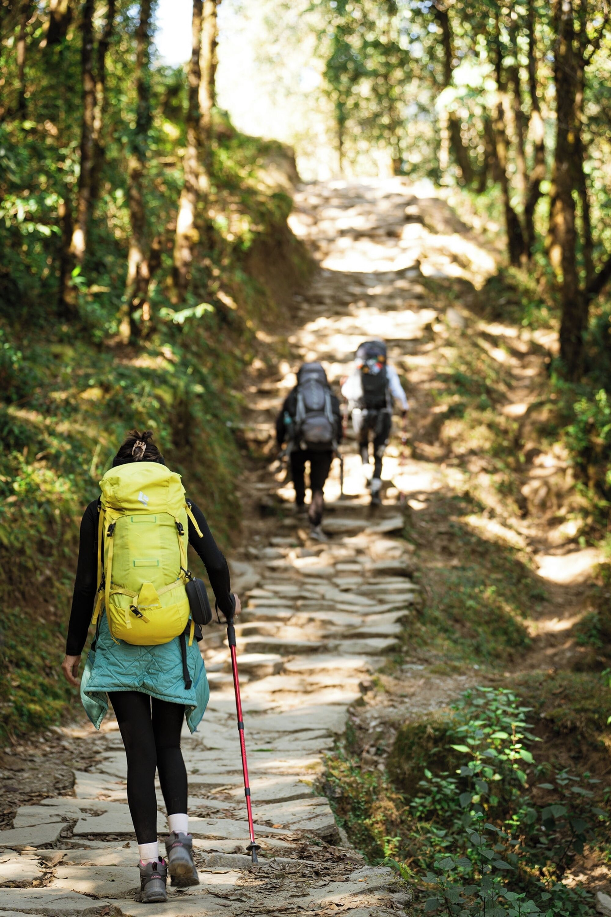 Un sentier de pierres dans une zone boisée, avec des randonneurs.