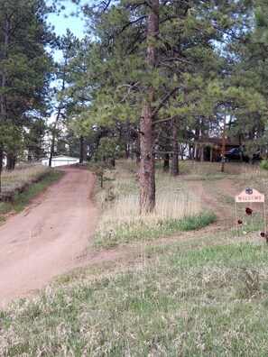 A dirt road leading to a building with a 'WELCOME' sign, surrounded by pine trees and grassy areas. - Mountain Chic Cabin Retreat (Woodland Park)