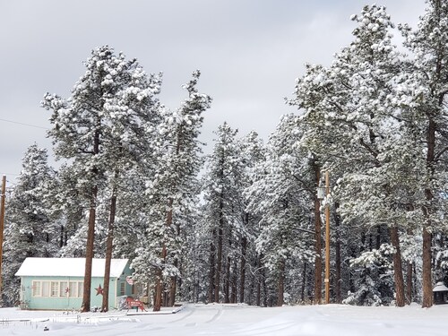 Mountain Chic Cabin Retreat