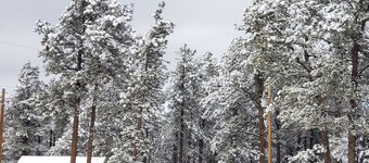 Mountain Chic Cabin Retreat