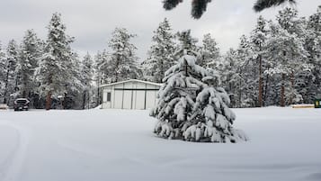 Eine verschneite Landschaft mit einem kleinen Gebäude und einem schneebedeckten Baum im Vordergrund.