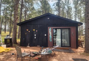 cabin entrance accessible path - Mountain Chic Cabin Retreat (Woodland Park)