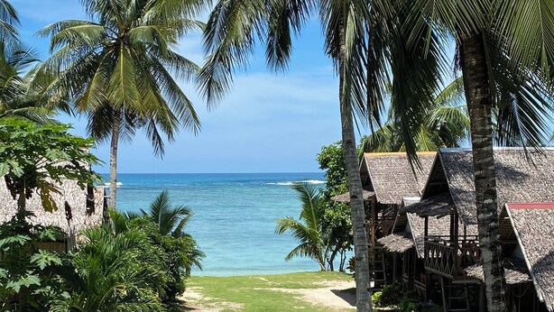 A tropical resort with a clear view of the ocean, palm trees, and thatched-roof huts. - Ocam Ocam Casadyan Inn (Busuanga)