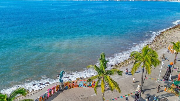 A beach with a clear view of the ocean, a sandy shore, and a few palm trees.