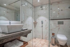 Shower, hair dryer, bathrobes, towels