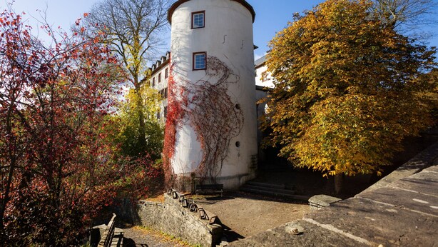 A historic tower with ivy, a stone bench, and a tree with autumn leaves. - Apartment 'Rumphorst' with Shared Terrace, Private Garden and Wi-Fi (Kirchhundem)