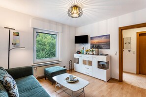 Fernseher, Stereoanlage