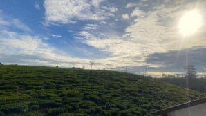 Un paysage vallonné, avec un ciel dégagé et un ensoleillement lumineux.