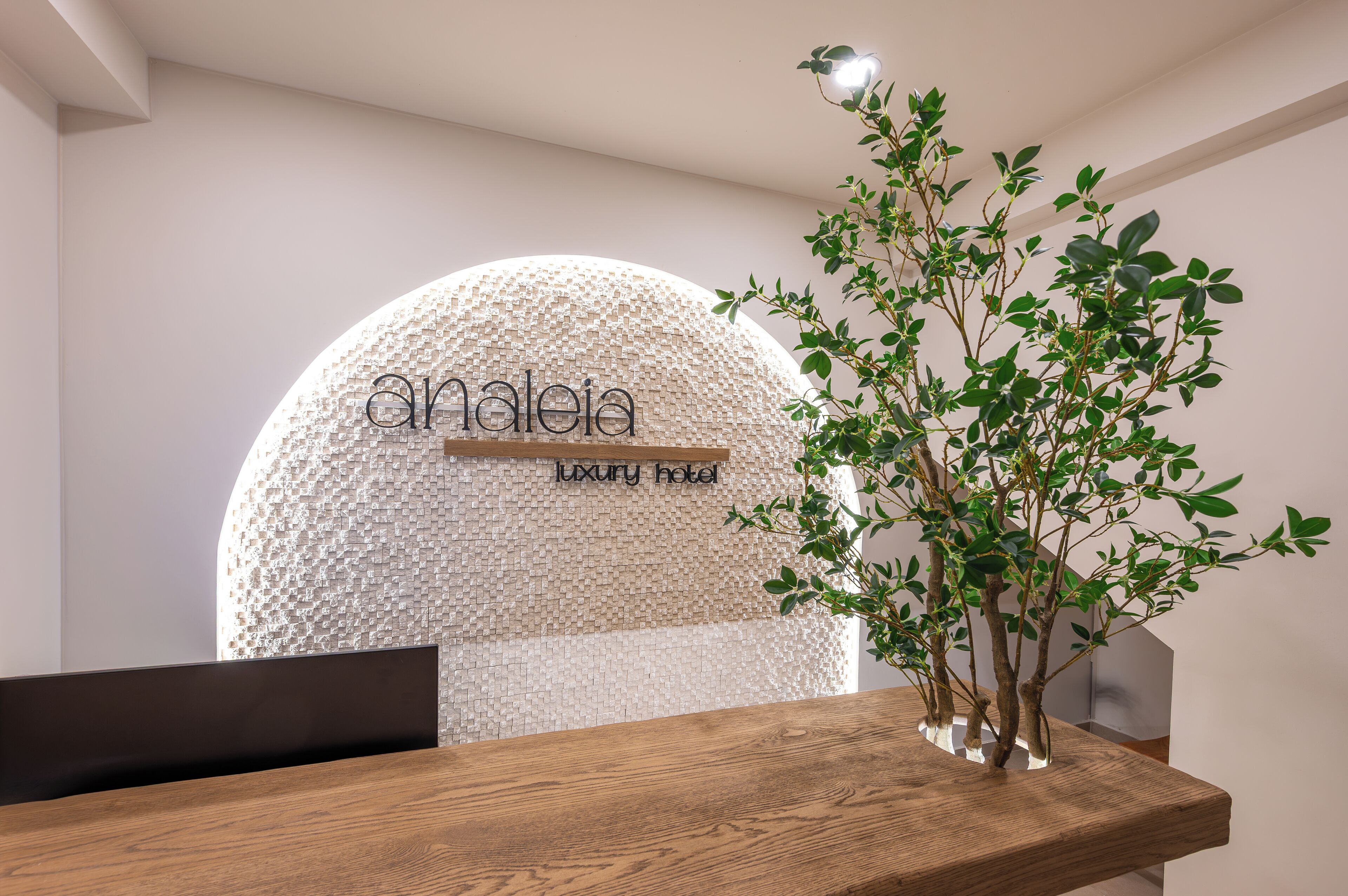 Un espace d’accueil avec un comptoir de réception en bois, un grand mur sphérique sur lequel est inscrit le texte « analeia luxury hotel » et une plante en pot.