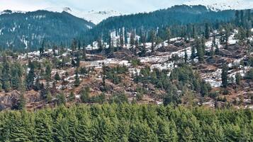 Habitació doble Deluxe, balcó, vistes a la muntanya | Vista des de l'habitació