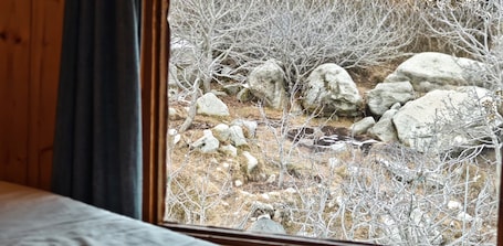 Design Quadruple Room | View from room