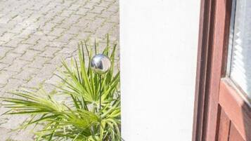 Een potplant met een metalen wereldbolornament op een geplaveid voetpad, naast een gebouw met een witte muur en een houten deur.