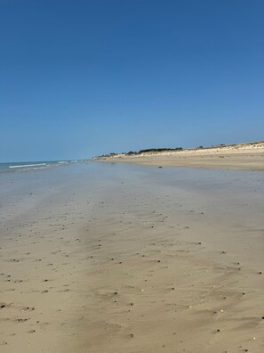 Serviettes de plage